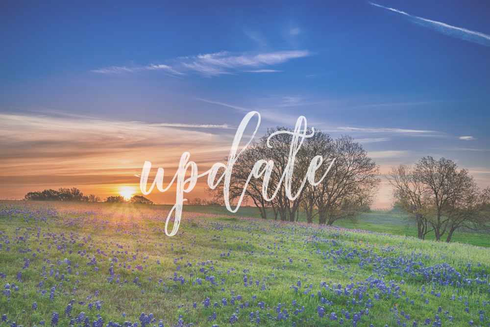 Your Neighborhood News: October Board Update