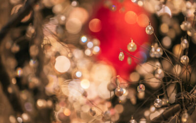 This Holiday Season And Beyond