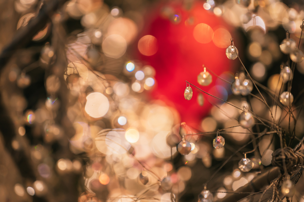 This Holiday Season And Beyond